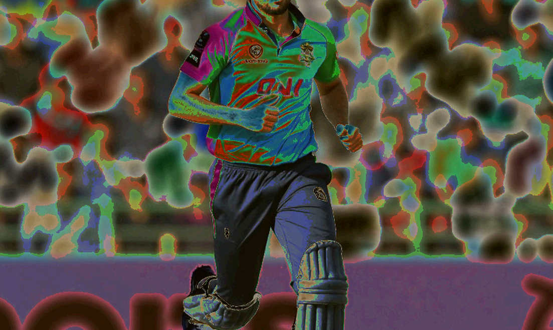 Cricket on the Blockchain Ledger: From Fan Tokens to Auditable Data