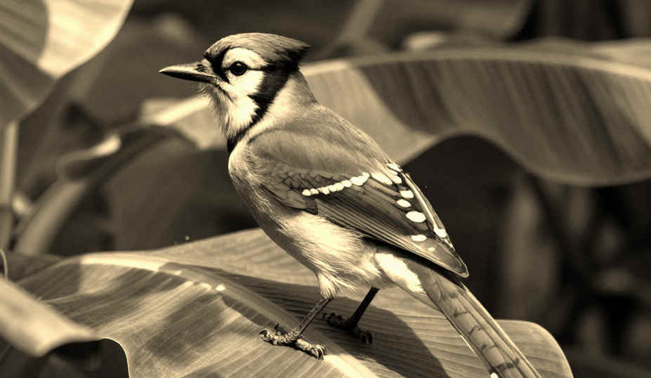 ৪:২৮.৫৬ — যে ঘড়িটি মিরপুর থেকে দেখা যায় না