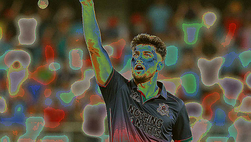 আবুধাবিতে ১৫৮ রানের ধাক্কা: জিম্বাবুয়ের আসল ক্ষতি পয়েন্টে নয়, নেট রান রেটে